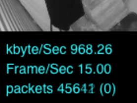 packets RTSP ONVIF H264 H265 HEVC